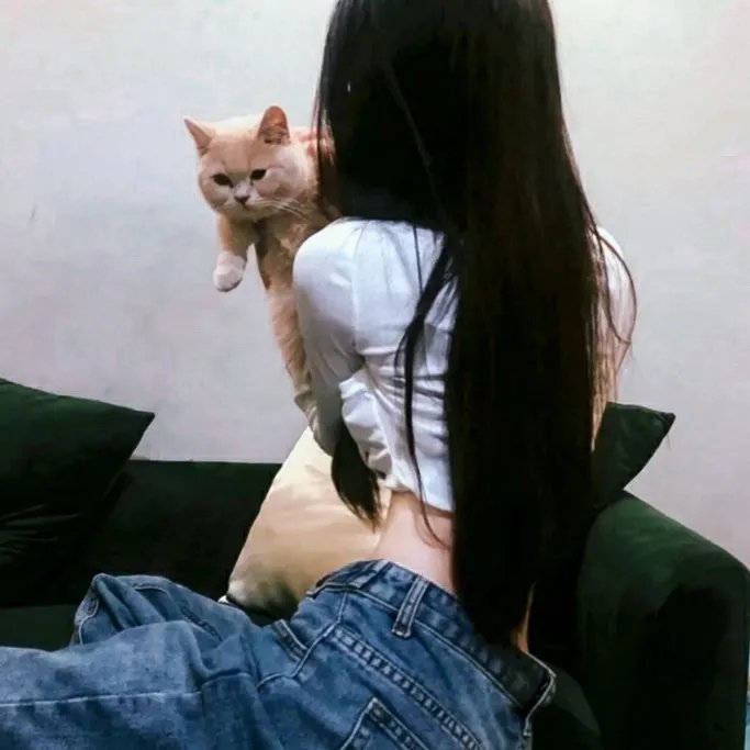 圣诞王子